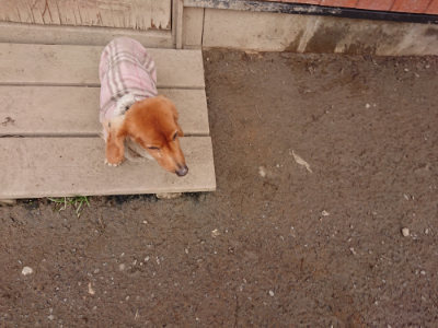 f:id:roukenhome-ann:20190223071817j:plain