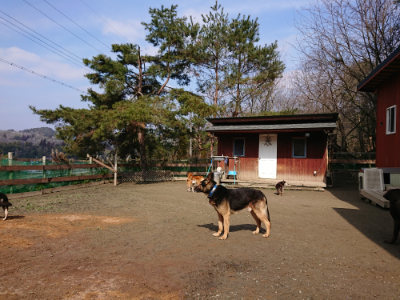 f:id:roukenhome-ann:20190223071827j:plain
