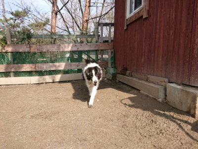 f:id:roukenhome-ann:20190223071920j:plain