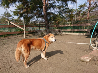 f:id:roukenhome-ann:20190223072009j:plain