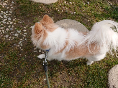 f:id:roukenhome-ann:20190223072020j:plain
