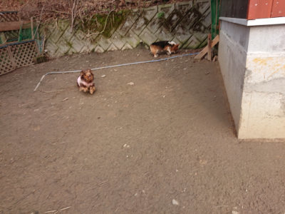 f:id:roukenhome-ann:20190223072036j:plain