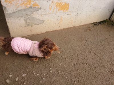 f:id:roukenhome-ann:20190223072105j:plain