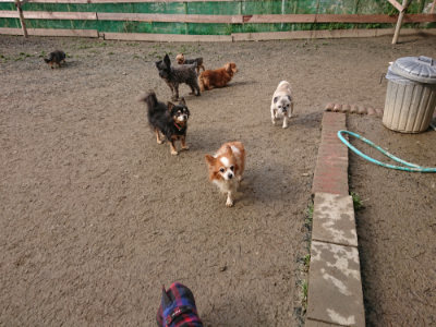f:id:roukenhome-ann:20190223072306j:plain