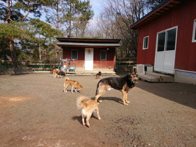 f:id:roukenhome-ann:20190223072321j:plain