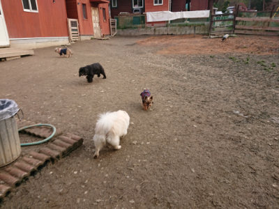f:id:roukenhome-ann:20190223072344j:plain