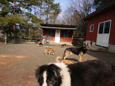 f:id:roukenhome-ann:20190223072356j:plain