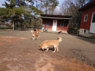 f:id:roukenhome-ann:20190223072401j:plain