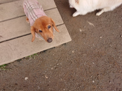 f:id:roukenhome-ann:20190223072429j:plain