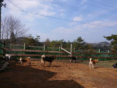 f:id:roukenhome-ann:20190223072441j:plain