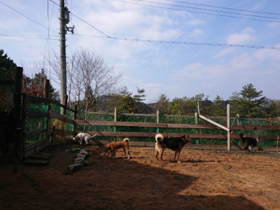 f:id:roukenhome-ann:20190223072445j:plain