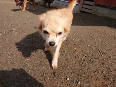 f:id:roukenhome-ann:20190223072455j:plain