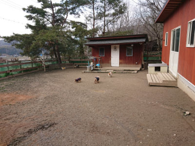 f:id:roukenhome-ann:20190223072506j:plain