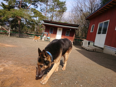 f:id:roukenhome-ann:20190223072519j:plain