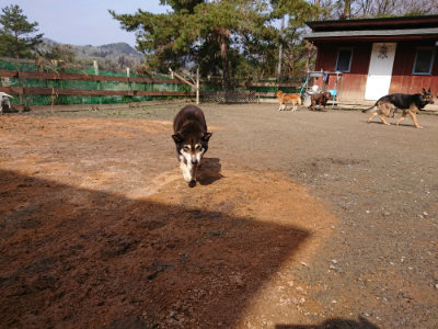 f:id:roukenhome-ann:20190223072537j:plain