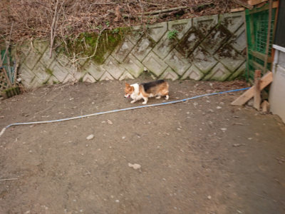 f:id:roukenhome-ann:20190223072548j:plain