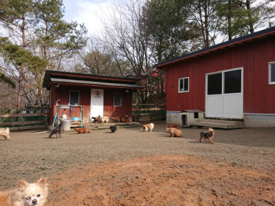 f:id:roukenhome-ann:20190223072558j:plain