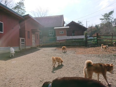 f:id:roukenhome-ann:20190223074105j:plain