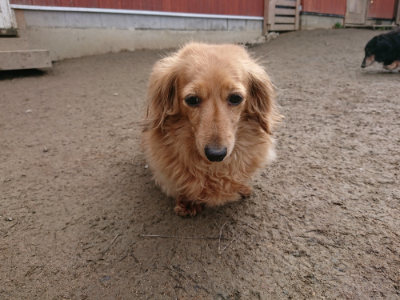 f:id:roukenhome-ann:20190223074147j:plain