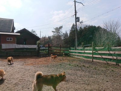 f:id:roukenhome-ann:20190223074217j:plain