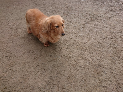 f:id:roukenhome-ann:20190223074222j:plain
