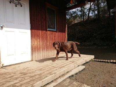 f:id:roukenhome-ann:20190223074234j:plain