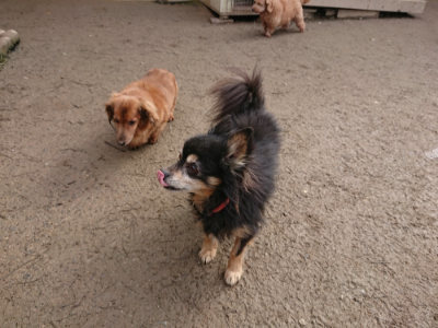 f:id:roukenhome-ann:20190223074345j:plain