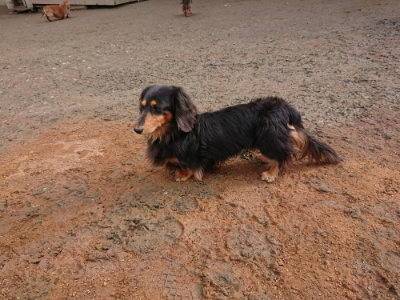 f:id:roukenhome-ann:20190223074424j:plain