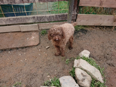 f:id:roukenhome-ann:20190223074618j:plain