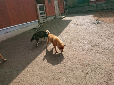 f:id:roukenhome-ann:20190223074647j:plain