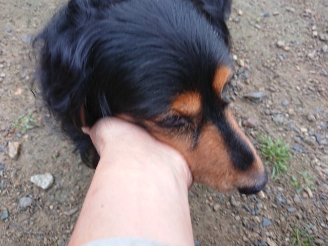 f:id:roukenhome-ann:20190223184244j:plain