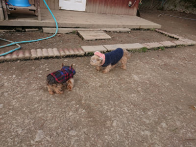 f:id:roukenhome-ann:20190223210246j:plain