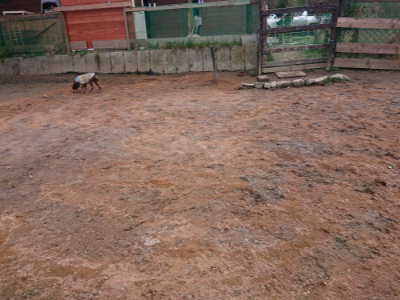 f:id:roukenhome-ann:20190223210309j:plain