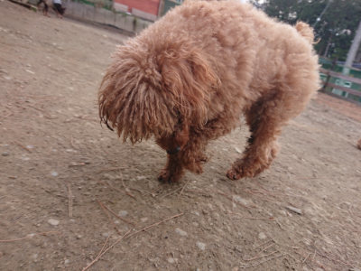 f:id:roukenhome-ann:20190223210418j:plain