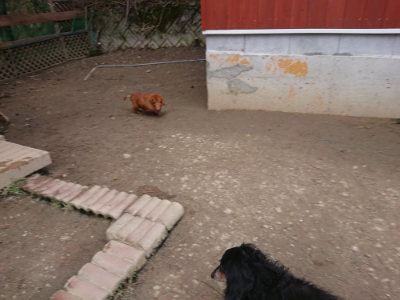 f:id:roukenhome-ann:20190223211249j:plain