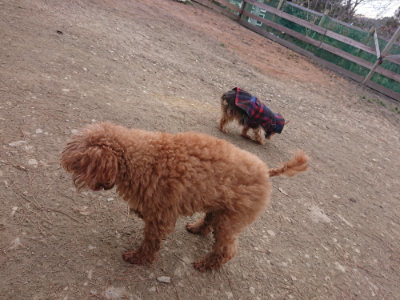 f:id:roukenhome-ann:20190223211312j:plain