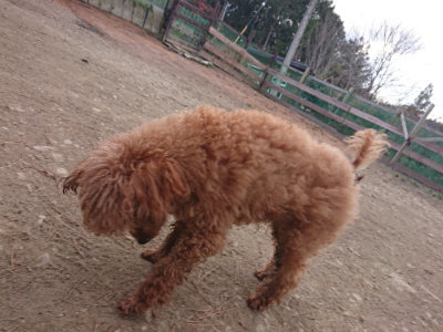 f:id:roukenhome-ann:20190223211318j:plain