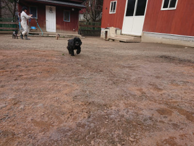 f:id:roukenhome-ann:20190223211328j:plain