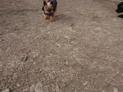 f:id:roukenhome-ann:20190223211407j:plain