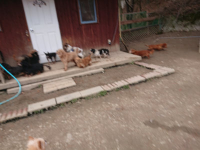 f:id:roukenhome-ann:20190223211501j:plain