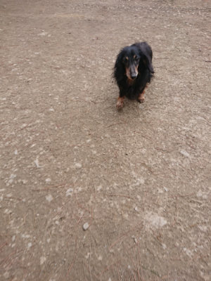 f:id:roukenhome-ann:20190224052335j:plain