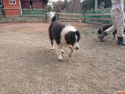 f:id:roukenhome-ann:20190224052349j:plain