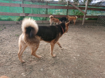 f:id:roukenhome-ann:20190224052355j:plain