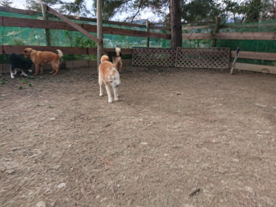 f:id:roukenhome-ann:20190224052405j:plain