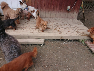 f:id:roukenhome-ann:20190224052431j:plain