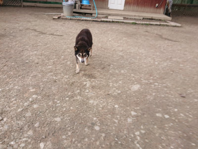 f:id:roukenhome-ann:20190224052735j:plain