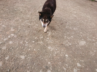 f:id:roukenhome-ann:20190224052741j:plain