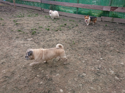 f:id:roukenhome-ann:20190224052747j:plain