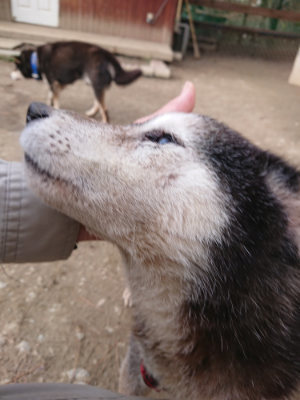 f:id:roukenhome-ann:20190224052759j:plain