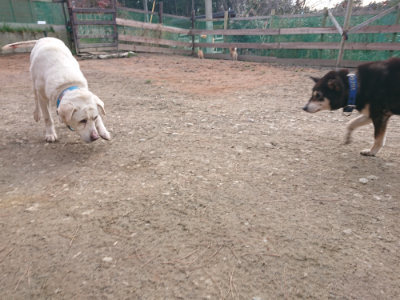 f:id:roukenhome-ann:20190224052820j:plain